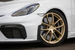 Porsche 718 Cayman GT4 2019 года (WW)